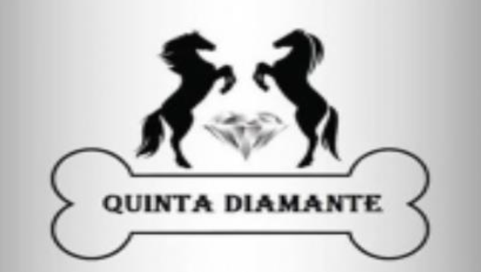 Quinta Diamante – Hotel Canino
