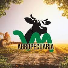 Irmãos Garcia Agropecuária Lda