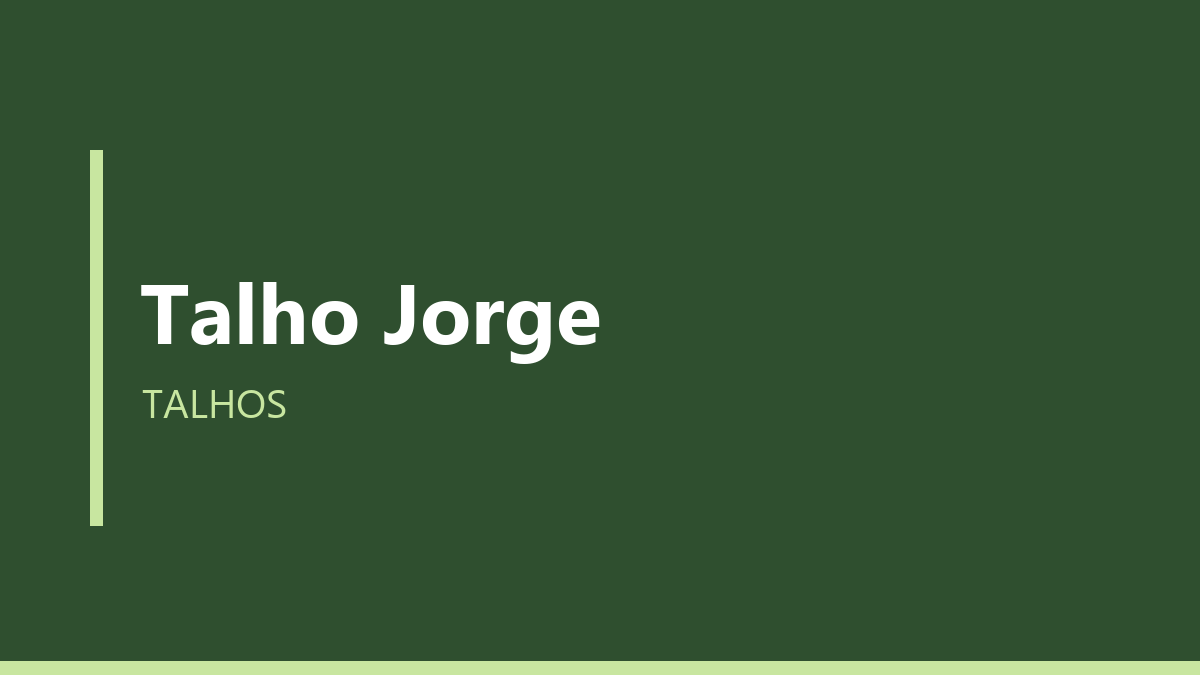 Talho Jorge